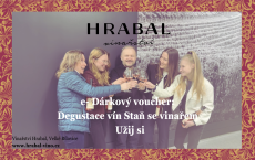 e- Dárkový voucher_  Degustace vín Staň se vinařem   Užij si.png