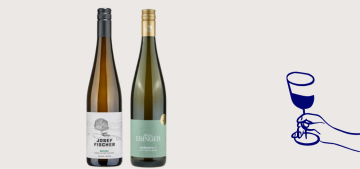 Bílá vína - Odrůda - Veltlínské zelené