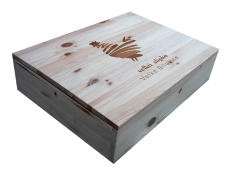 VSBOX.png